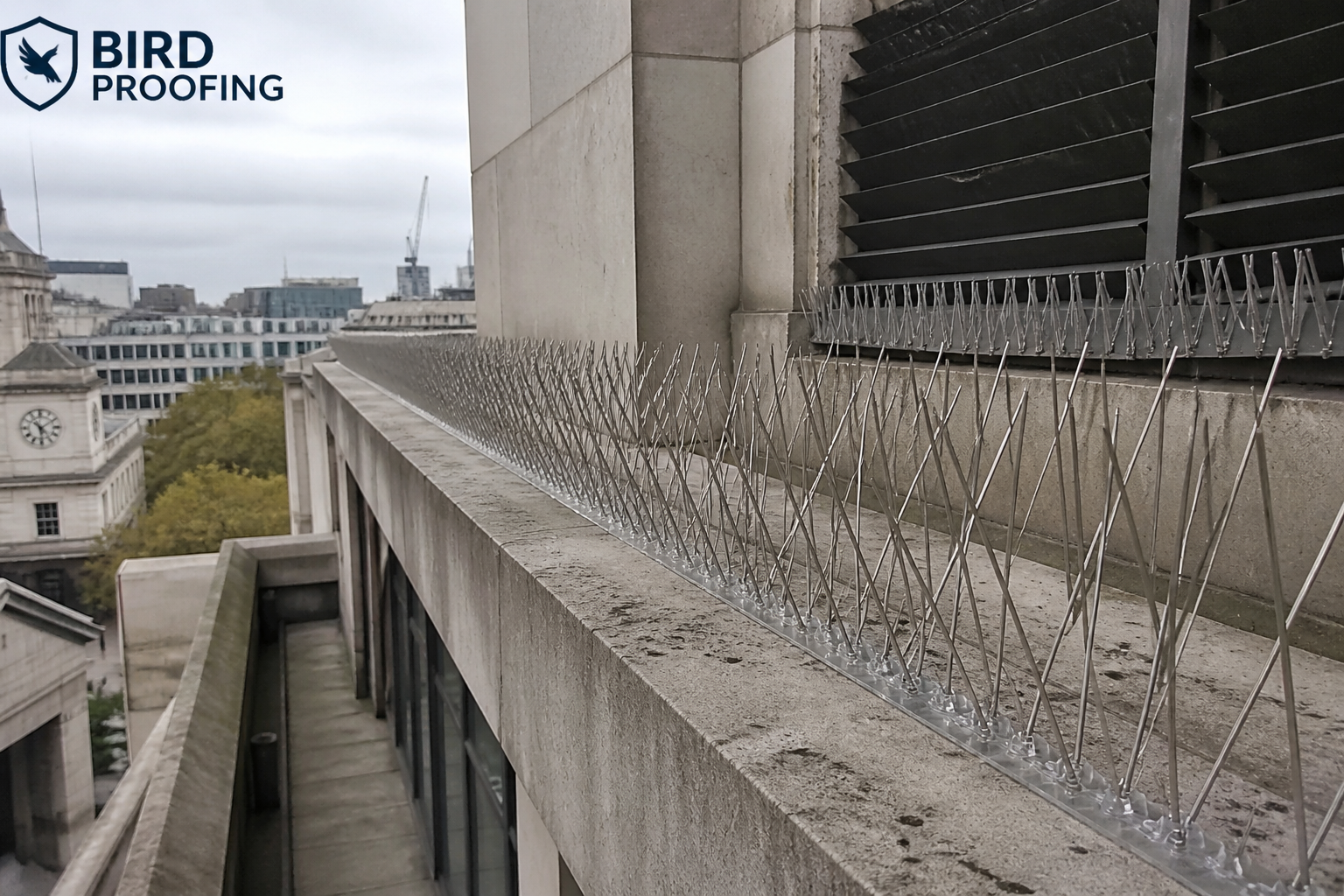 Stop Pigeons Roosting on Office Buildings